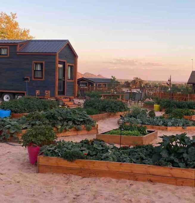 Atlantis Garden Tiny Home Hildale Exterior foto