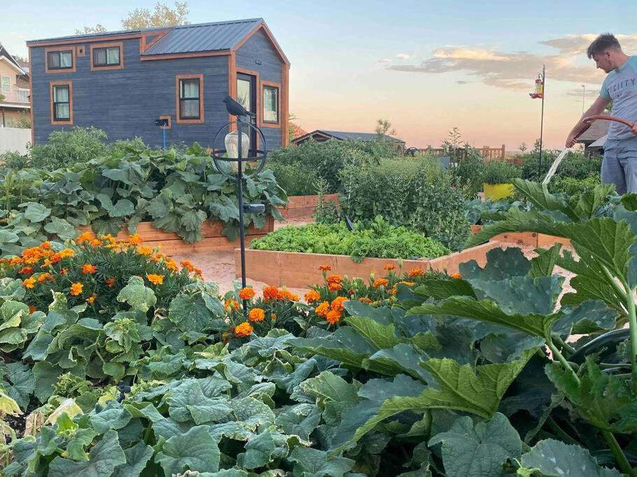 Atlantis Garden Tiny Home Hildale Exterior foto